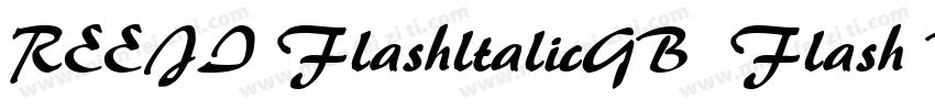 REEJI FlashltalicGB  Flash Black字体转换